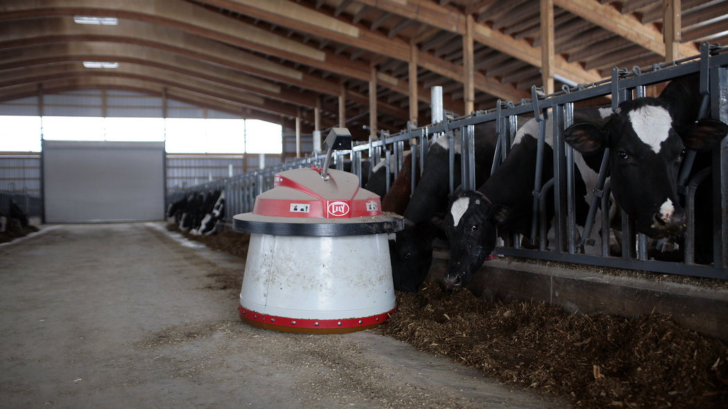 New York Dairy Farms ‘Milking’ The Benefits of Robotics