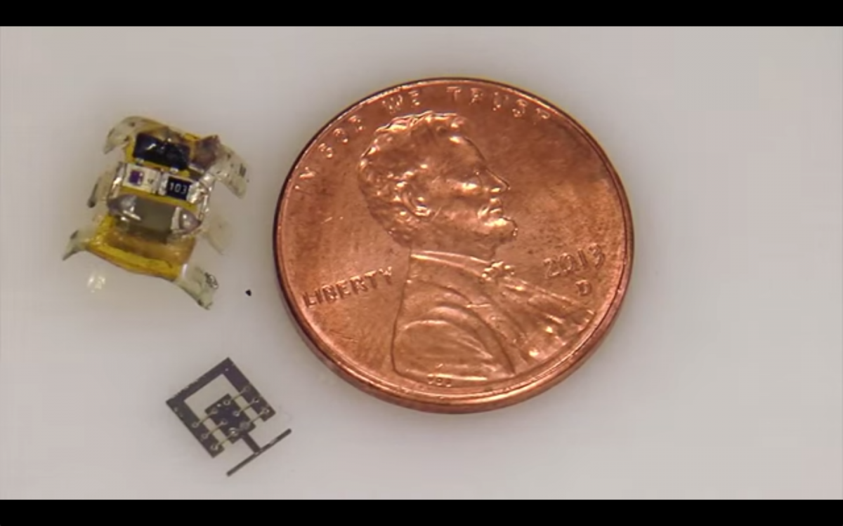 Tiny Robots Smaller Than 1 Centimeter Being Developed At The University Of Maryland