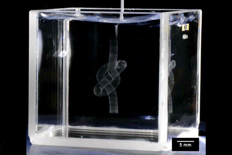 University of Florida Researchers Figured Out How to 3D Print Organs in Gel