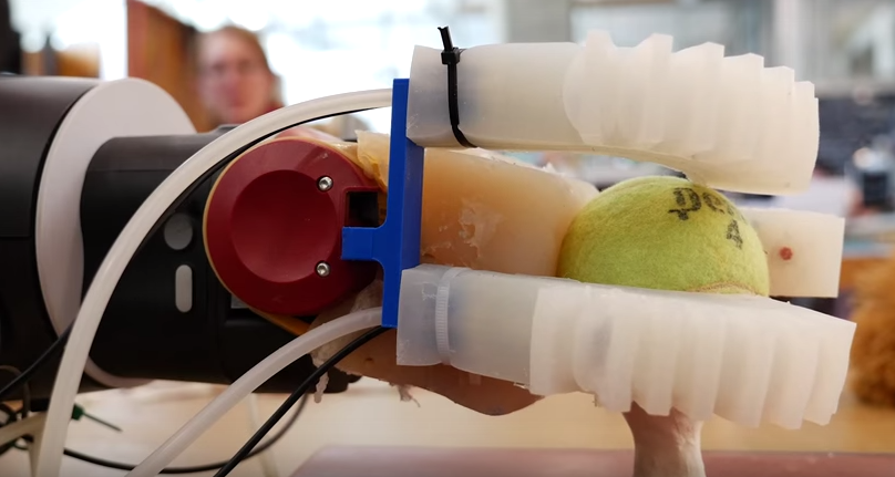 MIT’s Modular Soft Robotic Gripper Can Handle Eggs, Tennis Balls, and Beanie Babies