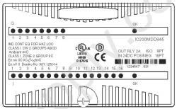 IC200MDD845 In Stock! Mixed 24VDC POS LOG input group 16 point / isolated 2 amp relay output 8 point